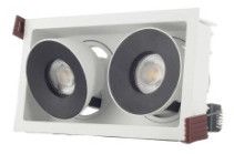 Twin Cob Down Light  For Indoor