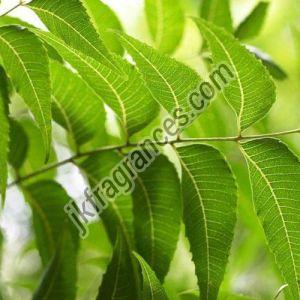 Organic Neem Oil, Form : Liquid