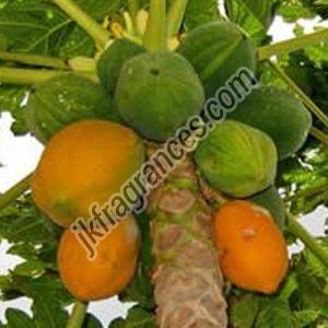 Papaya Seed Oil, Grade : Food Grade