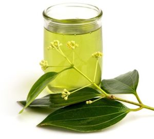 Cinnamon Leaf Oil