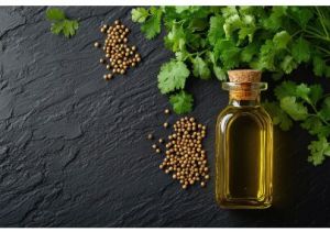 Coriander Oil