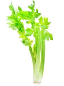 Fresh Celery