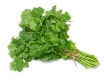 Fresh Coriander Leaves,  Packaging Type : HDPE Bag, LDPE Bag