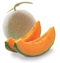 Fresh Muskmelon, Taste : Sweet Refreshing