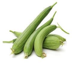 Fresh Sponge Gourd