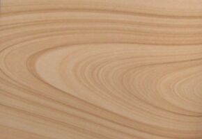 Woodland Quartzite Tiles