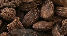 Cardamom Black, Moisture : 12% Max