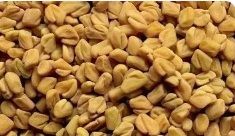 Fenugreek (Methi) Seeds, Purity : 99.5% / 99% / 98%