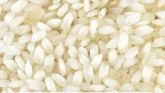 Idly Rice, Moisture : 14% Max