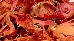 Javintri Whole 10% Max