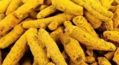Turmeric Dried