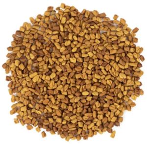 Fenugreek Seed