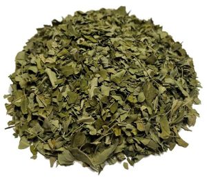 moringa leaves