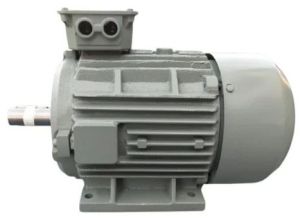 2 HP Three Phase Motors