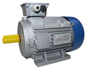 3 Phase Electric Motor