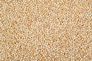 Quinoa Seeds, Packaging Type : Plastic Bag