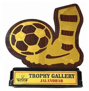 W-527 Customized Wooden Trophy