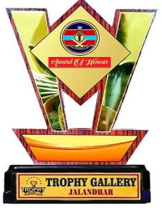 W-528 Customized Wooden Trophy for Award Or Recognition