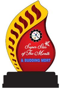 W-555 Customized Wooden Trophy