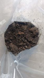 Organic Cowdung Manure, Color : Black-brown, Dark-brown