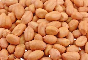 Natural Groundnut Seeds, Certification : FSSAI Certified for Cooking