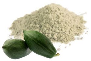 Green Papaya Powder
