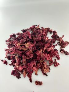 Rhododendron Buransh Flower