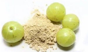 Dehydrated Amla Powder