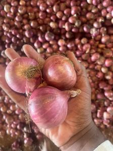 Organic Roy Enterprises Fresh Nashik Red Onion, Shape : Round