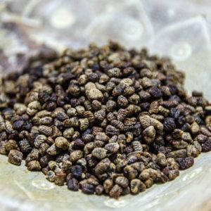 Green Cardamom Seeds