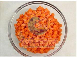 Dehydrated Carrot Cubes, Packaging Type : Orange