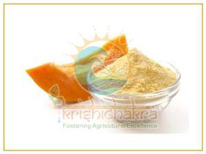 Natural Dehydrated Papaya Powder