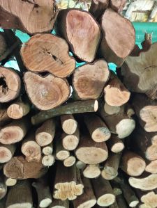 White Sandalwood Logs