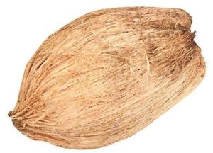 Fully Husked Coconut