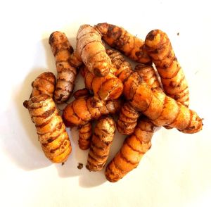 Organic Fresh Turmeric