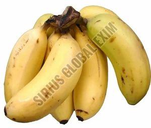 A Grade Organic Rasthali Banana, Color : Golden Yellow