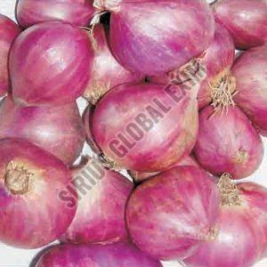 Thin-Skinned Juicy A Grade Sambar Onion