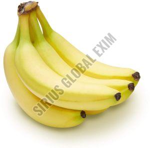Fresh Organic Banana, Packaging Type : 5kg, 10kg Cartons