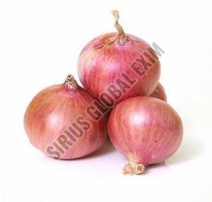 Firm With Smooth Finish Fresh Pink Onion