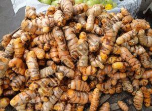 Fresh Salem Turmeric, Color : Deep Yellow-Orange 70–80%