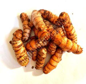 Organic Fresh Turmeric, Color : Bright Golden Yellow 3–5 Inches