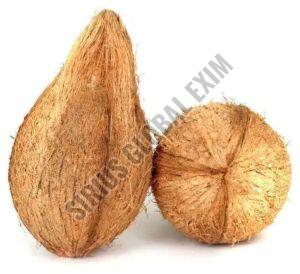 Semi Husked Fresh Coconut for Retail, Pooja, Cooking, Export