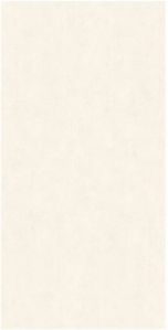 60x120 Cm Ivory Matt Polished Tiles