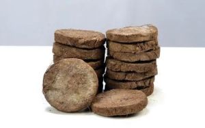 Desi Gir Cow Dung Cake