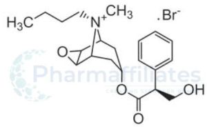 Hyoscine Butylbromide API Impurities