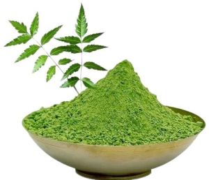 Drumstick Leaves Powder