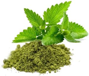 Tulsi Leaf Powder