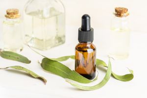 Eucalyptus Essential Oil