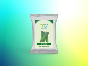 Hybrid Cucumber Seeds TG-Calibri, Packaging Size : 10gm