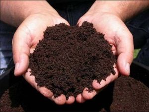 Bio Vermicompost Fertilizer